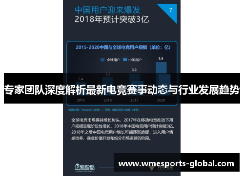专家团队深度解析最新电竞赛事动态与行业发展趋势