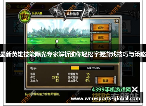 最新英雄技能曝光专家解析助你轻松掌握游戏技巧与策略