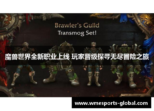 魔兽世界全新职业上线 玩家晋级探寻无尽冒险之旅