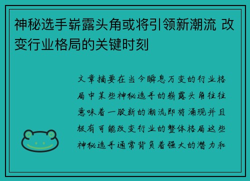 神秘选手崭露头角或将引领新潮流 改变行业格局的关键时刻