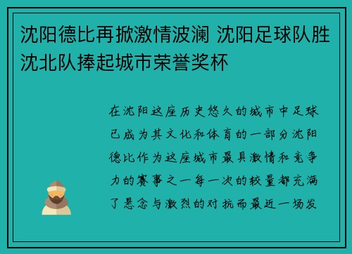 沈阳德比再掀激情波澜 沈阳足球队胜沈北队捧起城市荣誉奖杯
