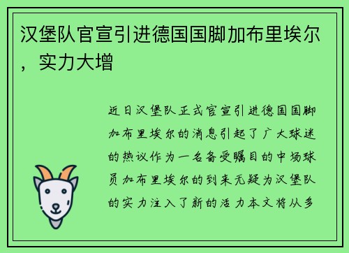 汉堡队官宣引进德国国脚加布里埃尔，实力大增
