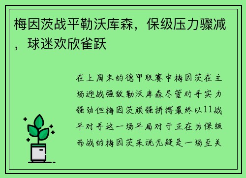 梅因茨战平勒沃库森，保级压力骤减，球迷欢欣雀跃