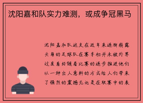 沈阳嘉和队实力难测，或成争冠黑马