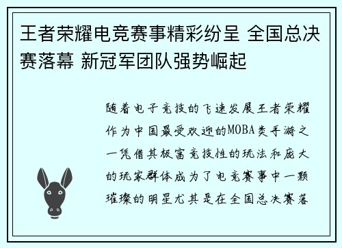王者荣耀电竞赛事精彩纷呈 全国总决赛落幕 新冠军团队强势崛起