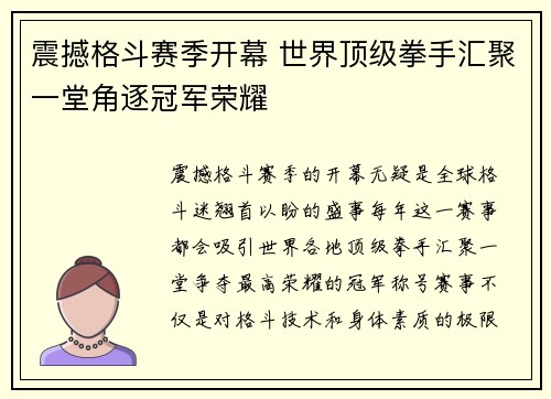 震撼格斗赛季开幕 世界顶级拳手汇聚一堂角逐冠军荣耀