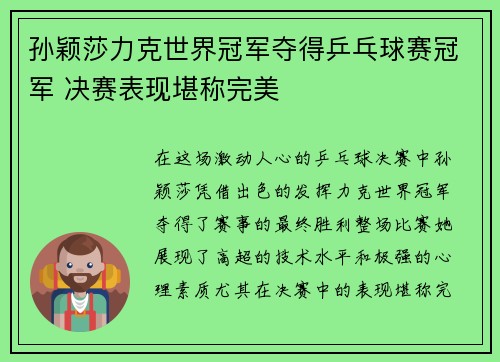 孙颖莎力克世界冠军夺得乒乓球赛冠军 决赛表现堪称完美